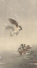 Sparrow with Young - Ohara Koson — artwork view