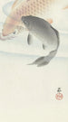 Two Carps - Ohara Koson — artwork view