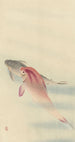 Two Carps - Ohara Koson — artwork view