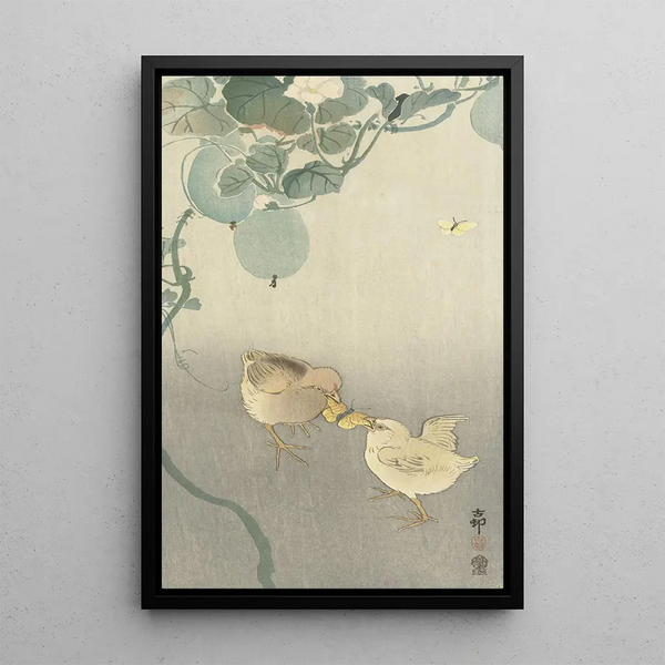 Two chicks fighting for a butterfly - Ohara Koson — framed artwork on a wall