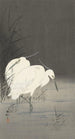 Deux aigrettes dans les roseaux - Ohara Koson — artwork view
