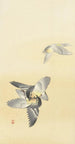 Two fighting birds - Ohara Koson — artwork view
