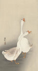 Two Geese - Ohara Koson — artwork view