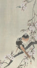 Two red-crowned cranes with cherry blossoms - Ohara Koson — artwork view