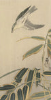 Traquet with bamboo - Ohara Koson — artwork view