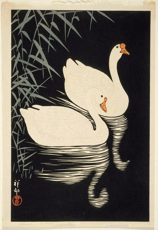 Ohara Koson - White Chinese Geese Swimming By Reeds.webp