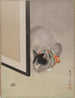 Chat observant une araignée - Oide Tōkō — artwork view