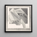 Bird abstract - Samuel Jessurun de Mesquita — framed artwork on a wall