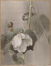 Mauves roses de coton sous la pluie - Okada Baison — artwork view