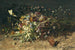 a spring flower bouquet with snowdrops - Olga Wisinger-Florian — artwork view