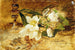 Black Hellebore - Olga Wisinger-Florian — artwork view