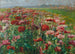 Coquelicot en fleur - Olga Wisinger-Florian — artwork view