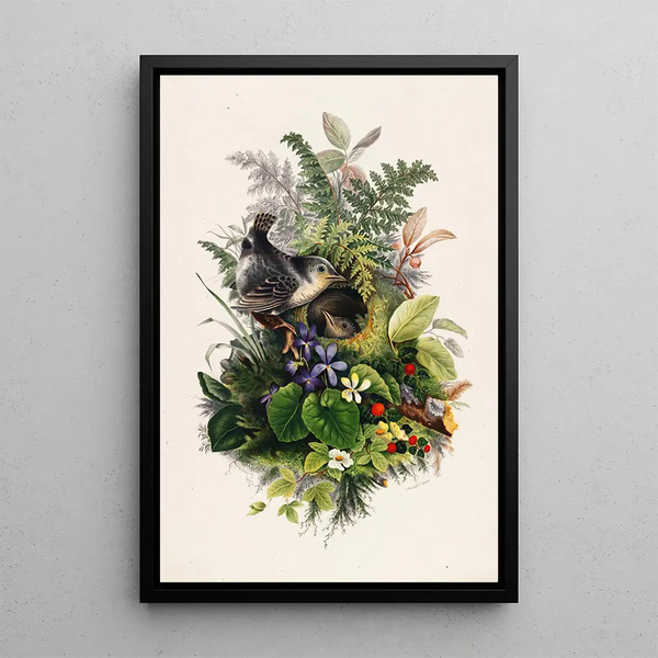 Birds - Olive E. Whitney — framed artwork on a wall