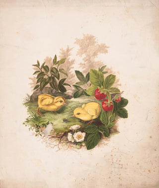 Olive E Whitney - Chickens and strawberries.webp