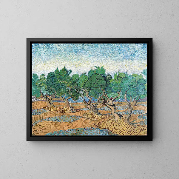 Reproduction of the painting Oliveraie Painting - Vincent Van Gogh