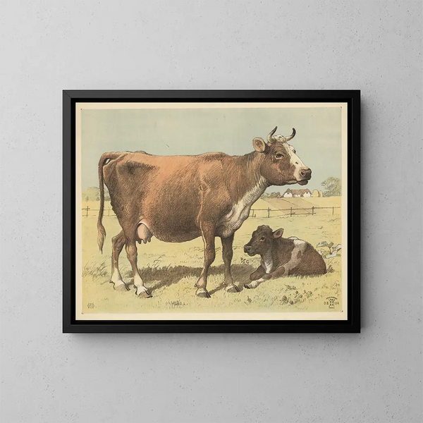 Cow - Oluf August Hermansen — framed artwork on a wall