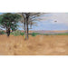 Reproduction of the painting Ost Africa - Wilhelm Kuhnert