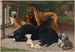 Dogs not allowed - Otto Bache — artwork view