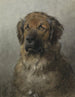 Head of a Leonberg - Otto Eerelman — artwork view