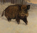Sanglier dans la neige - Otto Fikentscher — artwork view