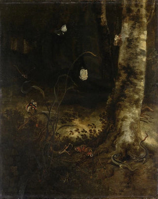 Otto Marseus van Schrieck - Forest Floor with a Snake Lizards Butterflies and other Insects.webp