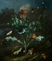 Chardons et papillons - Otto Marseus van Schrieck — artwork view