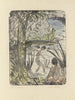 Nude in Water - Otto Mueller — artwork view