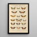 Exotic butterflies painting Pl028 - Otto Staudinger — framed artwork on a wall