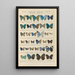 Exotic butterflies painting Pl097 - Otto Staudinger — framed artwork on a wall