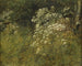 Study of the Caucasian Bear - P. C. Skovgaard — artwork view
