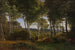 Wood Painting of Delhoved near Lake Skarre Zélande in the Afternoon Light - P. C. Skovgaard — artwork view
