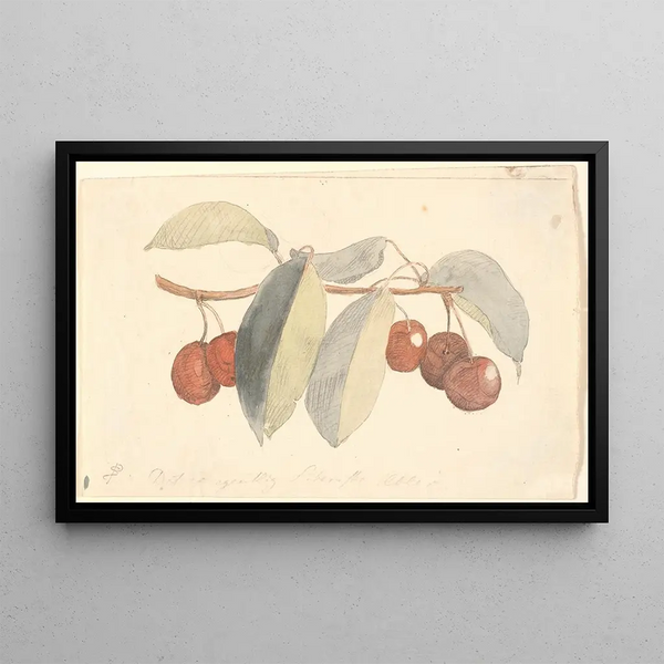 A branch with paradise apples - P. C. Skovgaard — framed artwork on a wall