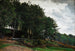 Hills wooded - P. C. Skovgaard — artwork view