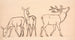 Cerfs et deux biches painting - P. C. Skovgaard — artwork view
