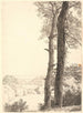 Landscape painting of Skarrits with two large beech trees in the foreground - P. C. Skovgaard — artwork view