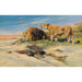 Reproduction of the painting Pair of lions in the steppe - Wilhelm Kuhnert