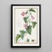 Maurandia semperflorens - Pancrace Bessa — framed artwork on a wall