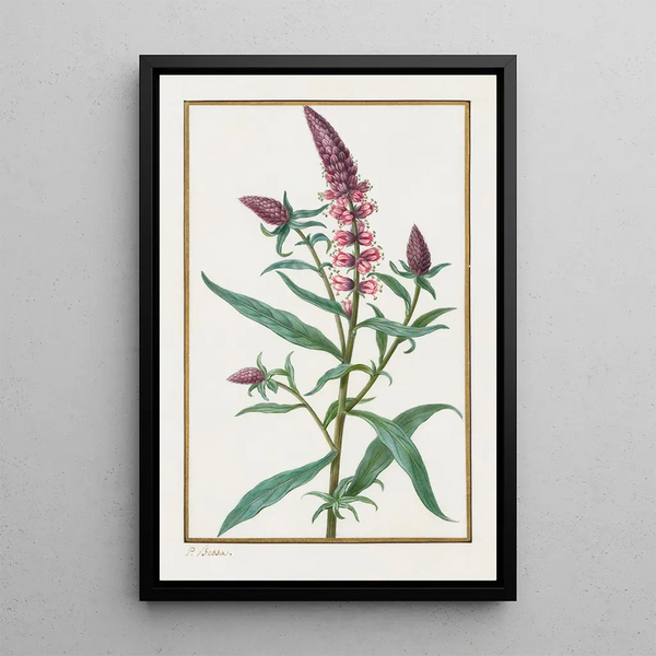 Untitled Painting - Pancrace Bessa — framed artwork on a wall