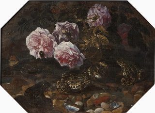Frogs, wild roses, shells and butterflies - Paolo Porpora — artwork view