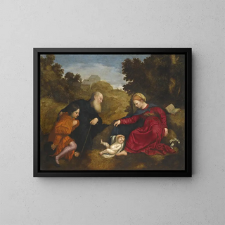 Virgin and Child with Saint Anthony of Padua and a young donor - Paris Bordone — framed artwork on a wall
