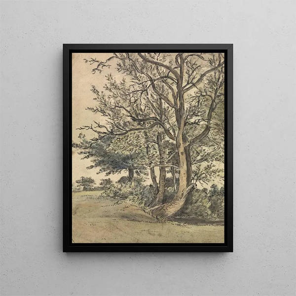 A part of Regent's Park - Patrick Nasmyth — framed artwork on a wall