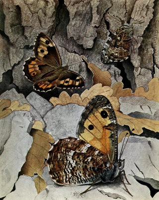 PaulAndre Robert - LAgreste.webp