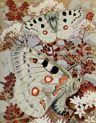 PaulAndre Robert - LAppollon.webp