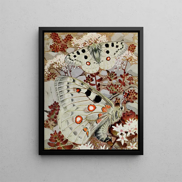 L'Apollon - Paul-André Robert — framed artwork on a wall