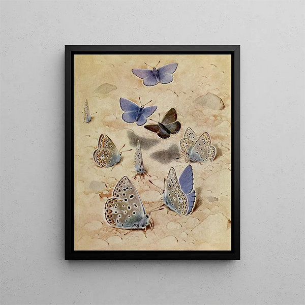 Blue Pince Painting L'Argus - Paul-André Robert — framed artwork on a wall