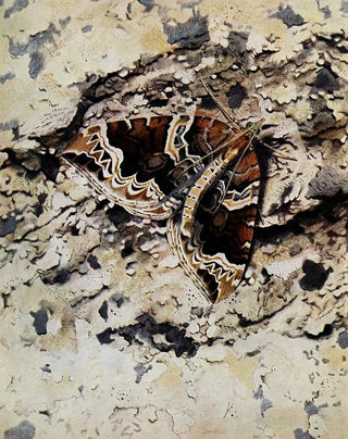 PaulAndre Robert - La Cidarie du Prunier.webp