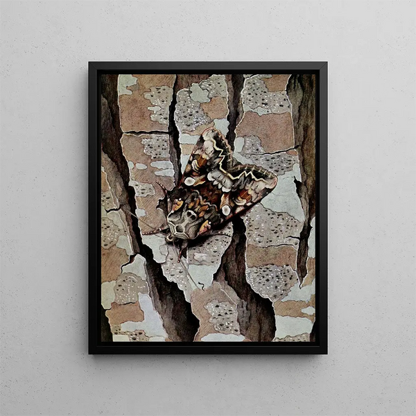 Le Contigu - Paul-André Robert — framed artwork on a wall