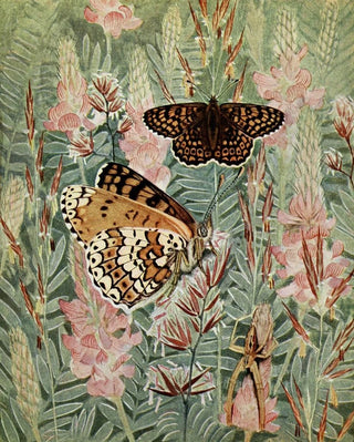 PaulAndre Robert - La Desse a Ceinturons.webp