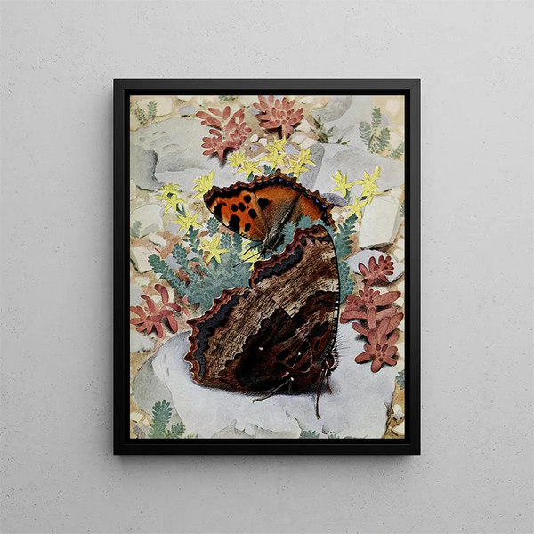 La Grande Tortue - Paul-André Robert — framed artwork on a wall