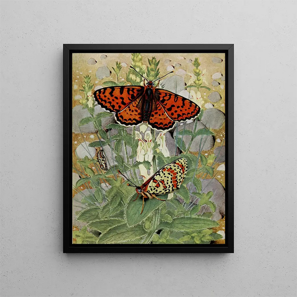 La Mélitée Orange - Paul-André Robert — framed artwork on a wall